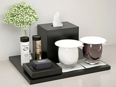 decorative set toiletry tray with two cups and tissue 3D model