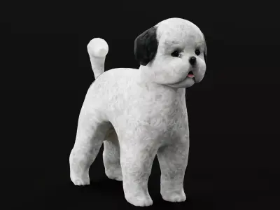 Bichon Frise Dog Breed 3D model