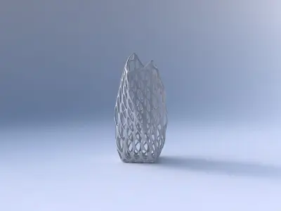 Vase twisted double arc quadratic with bubble grid lattice 3D print model