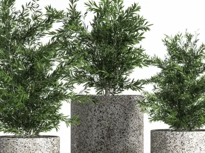 Outdoor Plant stree 01 3D model