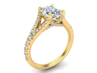 Split Shanke Ring 3D print model