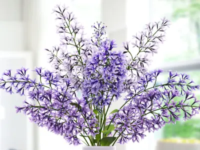 Lavender dev 3D model