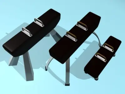 Gymnastic Horse 3D model