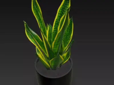 Realistic 3D Pot Plant 3D model