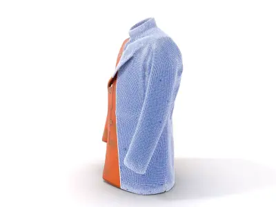 Golden Embroidered Jacket model pack Low-poly 3D model