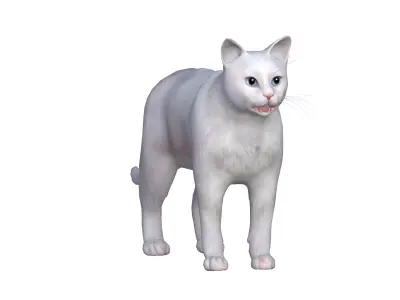 Turkish Angora Cat Low-poly 3D model