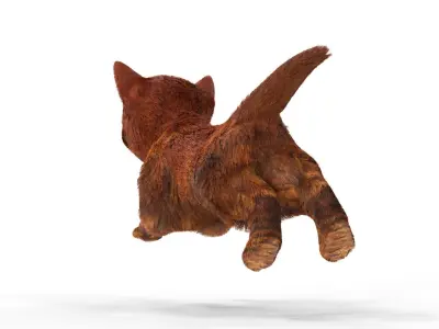 Red Cute hair  fur Cat Animated Low-poly 3D model