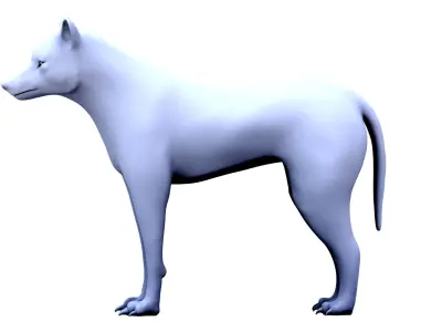 Wolf 3D Model 3D model