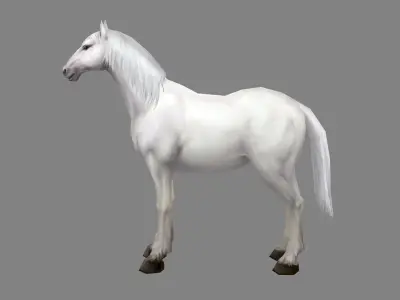 A white horse Low-poly 3D model