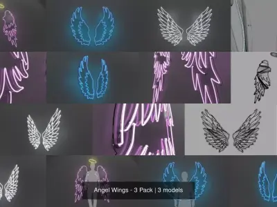 Angel Wings - 3 Pack 3D Model Collection