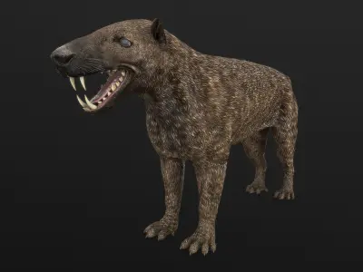 Hyaenodon horridus Low-poly 3D model