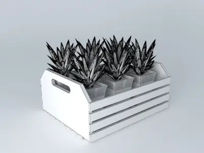 Tray with plants Free 3D model