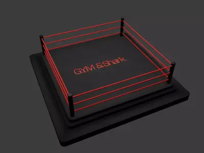  Modern Wrestling Ring 3D Model High-Quality Low-poly 3D model