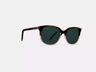 Laurel Sunglasses in Tea Rose Fade 3D model