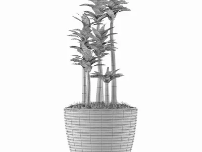 House Plant 19 3D model