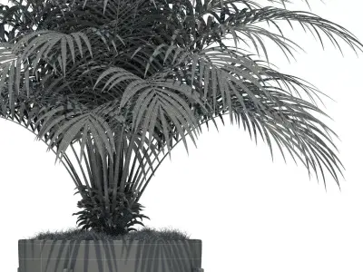 Plants collection 68 Modernica pots 3D model