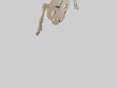 Skeleton Wall Clock model 3D model