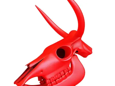 Printable Cow Skull with Horns 3D model