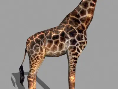Superb Low-Poly Giraffe - 3d model Low-poly 3D model
