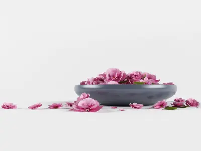 Platter flowers 3D model