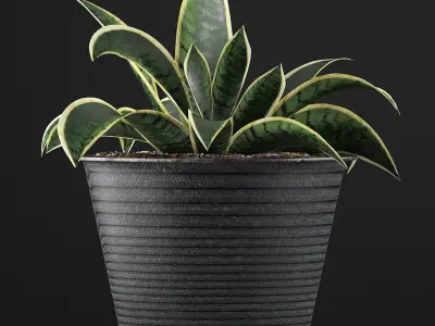 Plants Collection 108 3D model