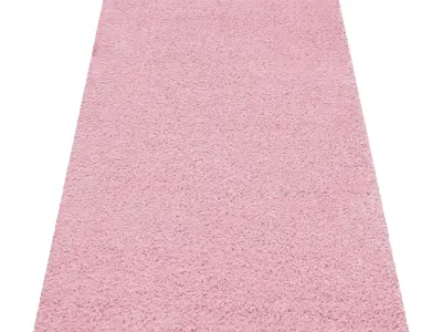 Rug Set 1137 3D model