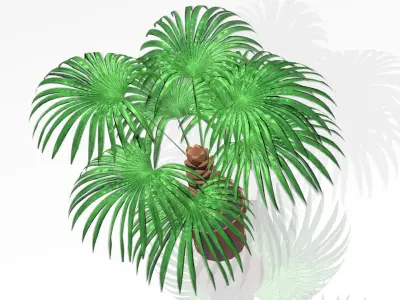 ARECA PALM Low-poly 3D model