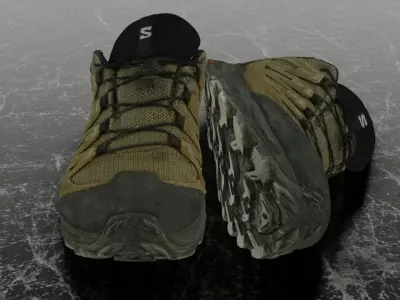 SALOMON X WARD LEATHER 3D SHOES 3D model