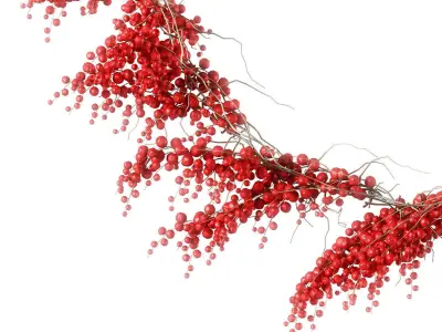 Christmas Wreath With Berries 3D model