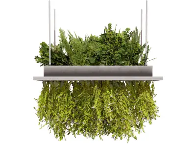 Modern Hanging Planter with Cascading Plants Low-poly 3D model