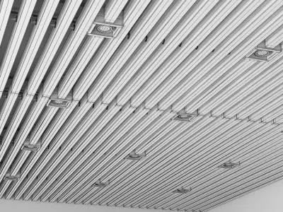 Wooden ceiling 2 3D model