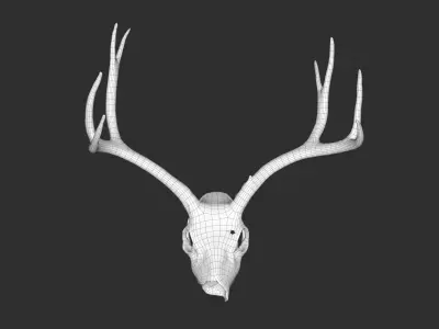 Deer skull Low-poly 3D model