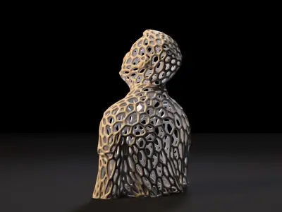 Torso Voronoi 3D print model
