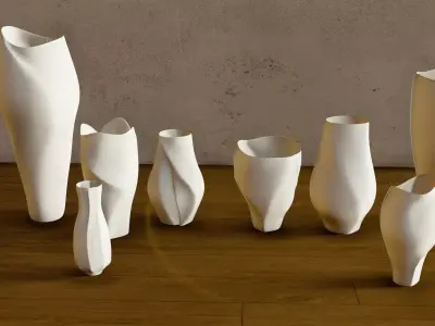 Modern Organic Vase Collection 8 Sculpted Decorative Vases Low-poly 3D model