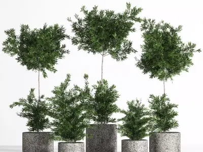 Outdoor Plant stree 01 3D model