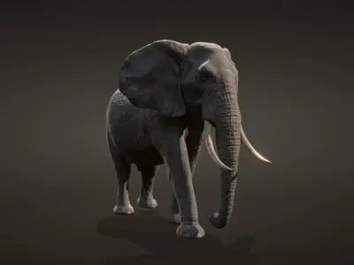 African elephant  Low-poly 3D model