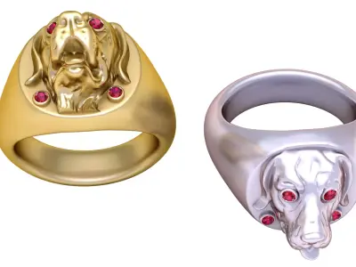  Ring Golden  Pendent 3D print model