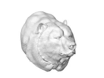 Bear head 3D model get