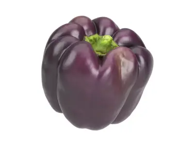 Photorealistic Tequila Bell Pepper 3D Scan 3D model