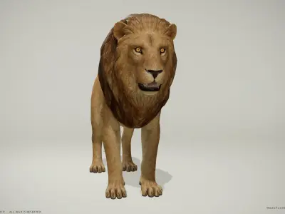 3D Lion and Lioness - Game Ready PBR Low-poly 3D model