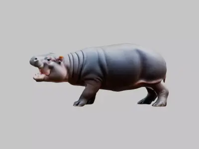 Cute Baby Hippo Roaring 3D Model Low-poly 3D model