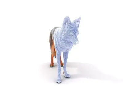 Realistic Coyote Fur model pack Low-poly 3D model