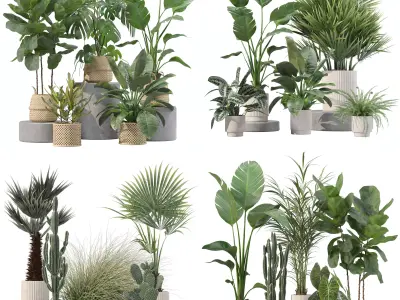 20 Photorealistic Flowers for Interiors - set 201 207 209 216 3D Model Collection