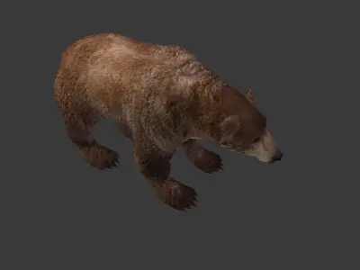 Next Gen AAA Brown Bear - game model Low-poly 3D model
