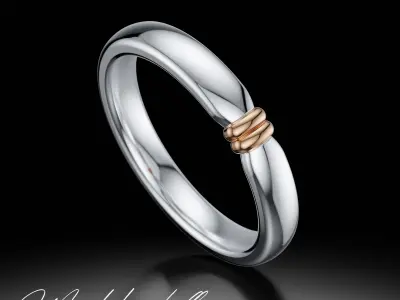 Delicate jewelry ring 3D print model