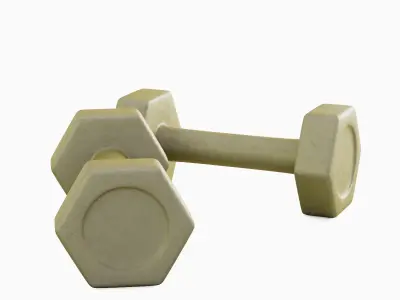 Small Rubber Dumbbell 06 3D model