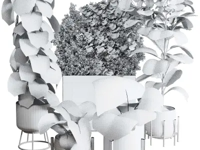  indoor plant ficus lyrata monstera palm in a wooden 3D model