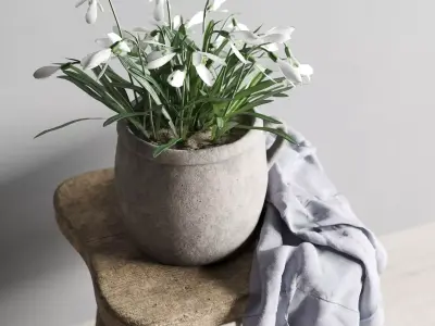 Rustic Snowdrops Decor 3D model