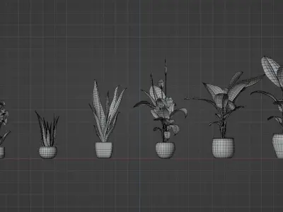 6 Plants Pack  3D model
