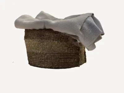 Basket with Blankets 3D print model